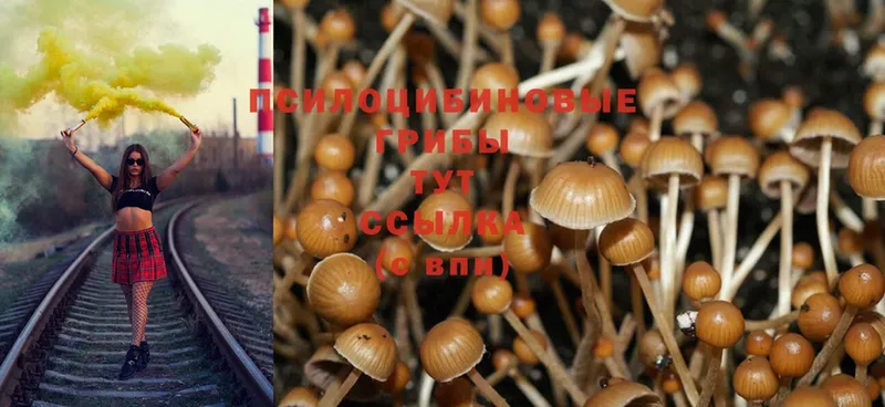 Псилоцибиновые грибы MAGIC MUSHROOMS  где можно купить наркотик  Лакинск 